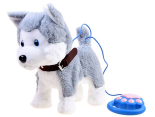 Interaktiivinen koira, husky hinta ja tiedot | Kehittävät lelut | hobbyhall.fi