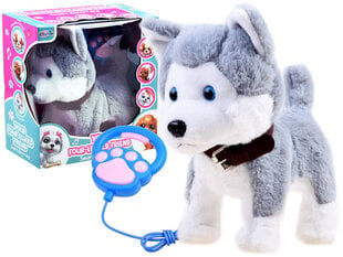 Interaktiivinen koira, husky hinta ja tiedot | Kehittävät lelut | hobbyhall.fi