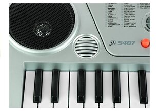 Lasten piano mikrofonilla - MQ5407 hinta ja tiedot | Kehittävät lelut | hobbyhall.fi