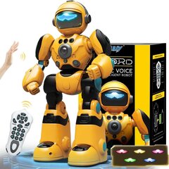 Interaktiivinen kauko-ohjattava robotti Remote Control Robot hinta ja tiedot | Robot Lelut | hobbyhall.fi