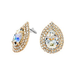 Korvakorut Jasmine swarovskin kristalleilla DS02A651 hinta ja tiedot | Diamond Sky Jewelry Muoti | hobbyhall.fi