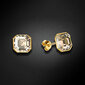 Hopeiset korvakorut Imperial (Golden Shadow) Swarovskin kristalleilla DS02A657 hinta ja tiedot | Korvakorut | hobbyhall.fi