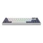 Dark Project KD68B Grey-Blue Teal Switch US hinta ja tiedot | Näppäimistöt | hobbyhall.fi