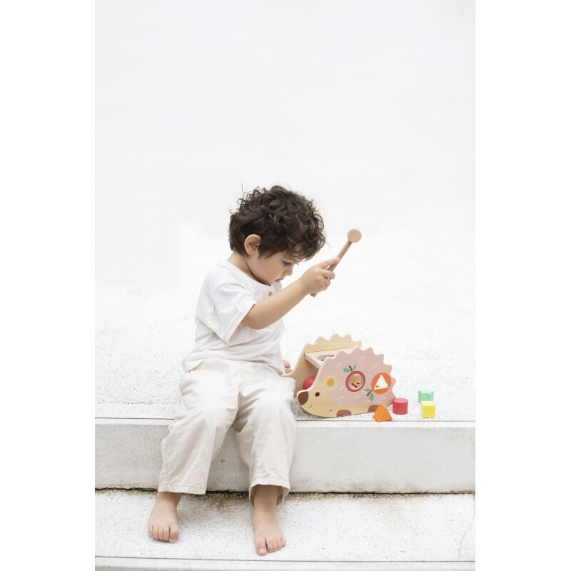 Puinen lelusarja vauvalle hinta ja tiedot | Kehittävät lelut | hobbyhall.fi