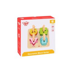 Tooky Toys puinen lajittelija - Värit hinta ja tiedot | Kehittävät lelut | hobbyhall.fi