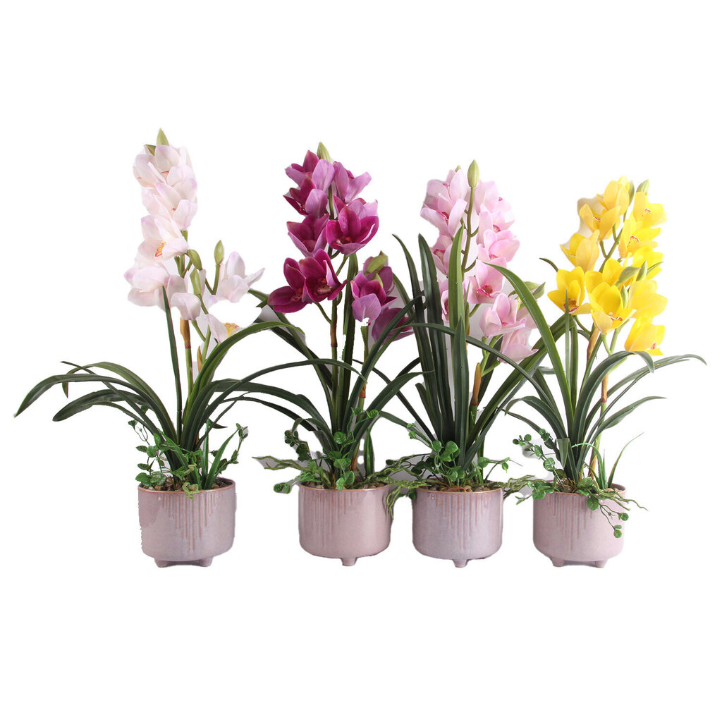 Orchid GARDEN QUEEN K70cm, valkoinen hinta ja tiedot | Keinotekoiset kukat | hobbyhall.fi