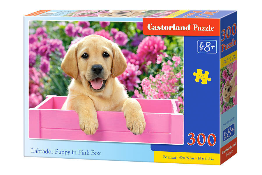 Castorland labradorinnoutaja vaaleanpunaisessa laatikossa palapeli, 300 kpl hinta ja tiedot | Palapelit | hobbyhall.fi