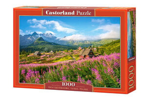 Castorland Tatras, Puola, 1000 kpl. hinta ja tiedot | Palapelit | hobbyhall.fi