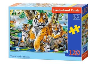 Castorland Tigers by the Stream palapeli, 120 palaa hinta ja tiedot | Palapelit | hobbyhall.fi