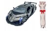 Lasten kilpa-auto ohjauspyörällä RC NR1 + pehmotyyny Cat, 50 cm hinta ja tiedot | Poikien lelut | hobbyhall.fi