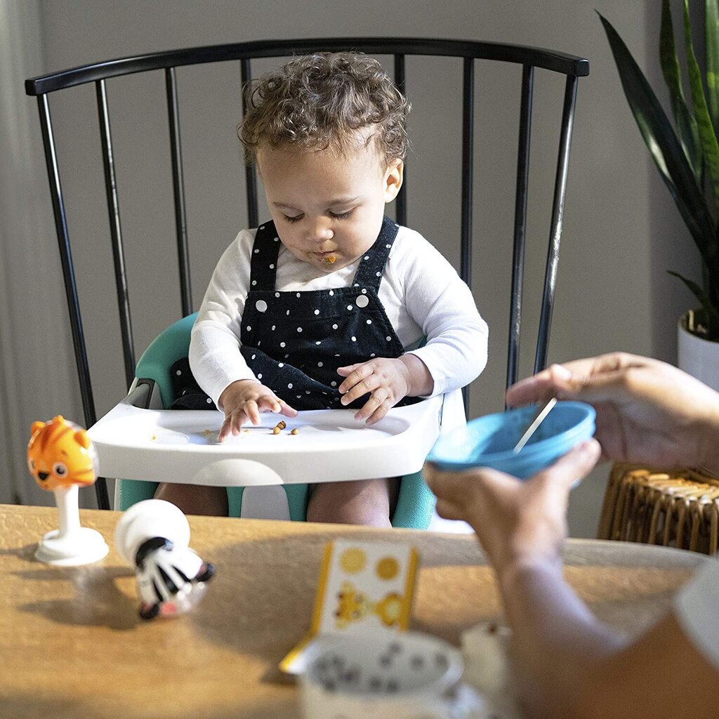 Ruokapöydän tuoli 2in1 Baby Einstein Dine & Discover, vihreä hinta ja tiedot | Syöttötuolit | hobbyhall.fi