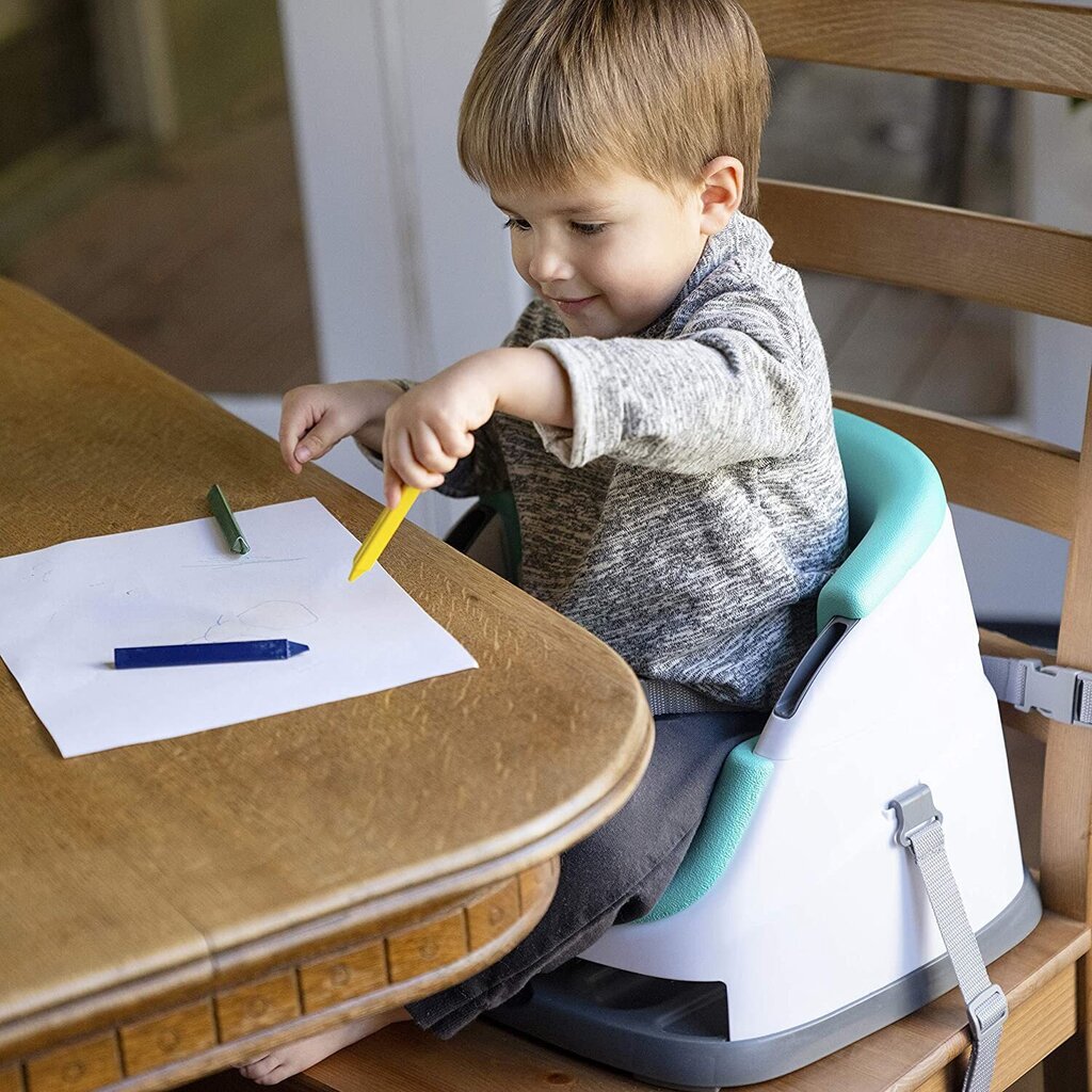 Ruokapöydän tuoli 2in1 Baby Einstein Dine & Discover, vihreä hinta ja tiedot | Syöttötuolit | hobbyhall.fi