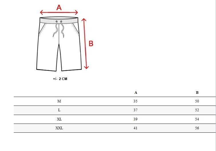 Tummanharmaat vapaa-ajan shortsit Biren SX2244-52891-XXL hinta ja tiedot | Miesten urheiluvaatteet | hobbyhall.fi