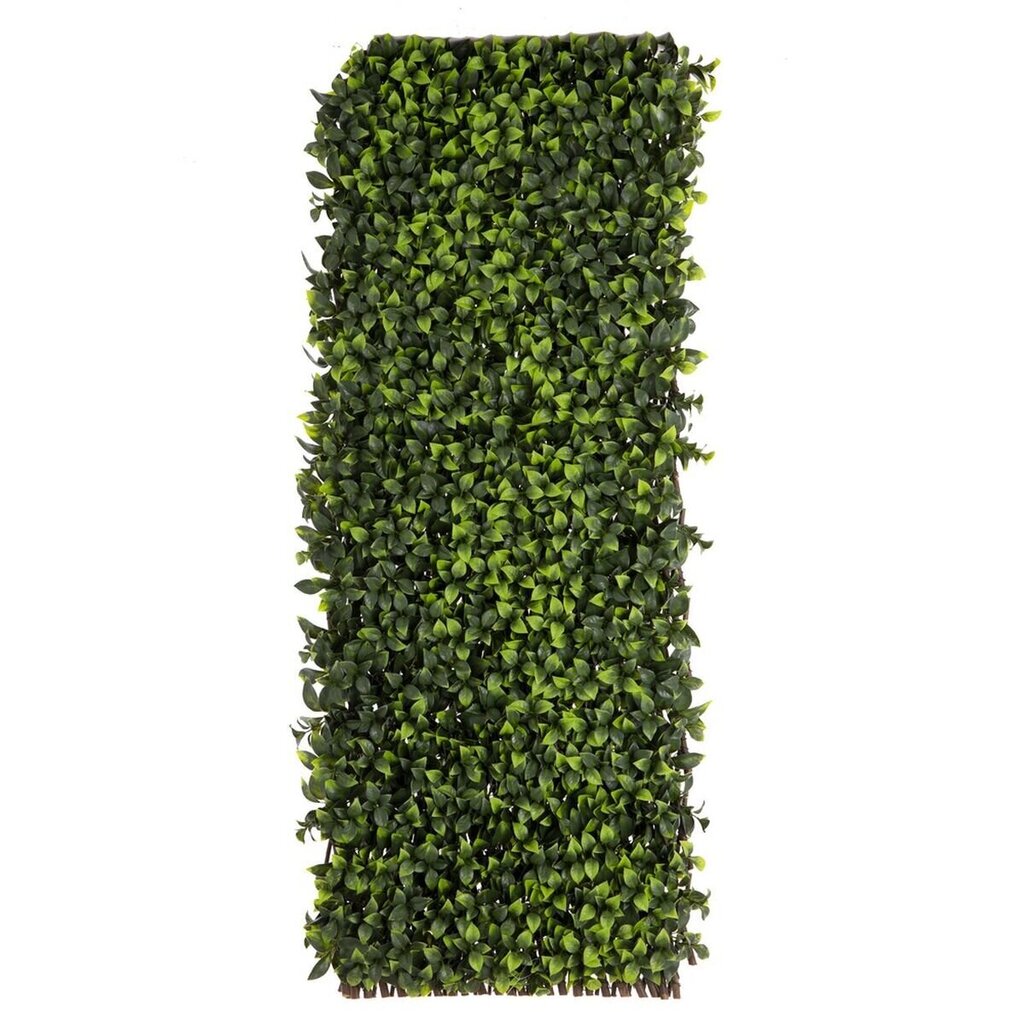 Ristikko Natural Muratti Bambu 2 x 200 x 100 cm hinta ja tiedot | Keinotekoiset kukat | hobbyhall.fi