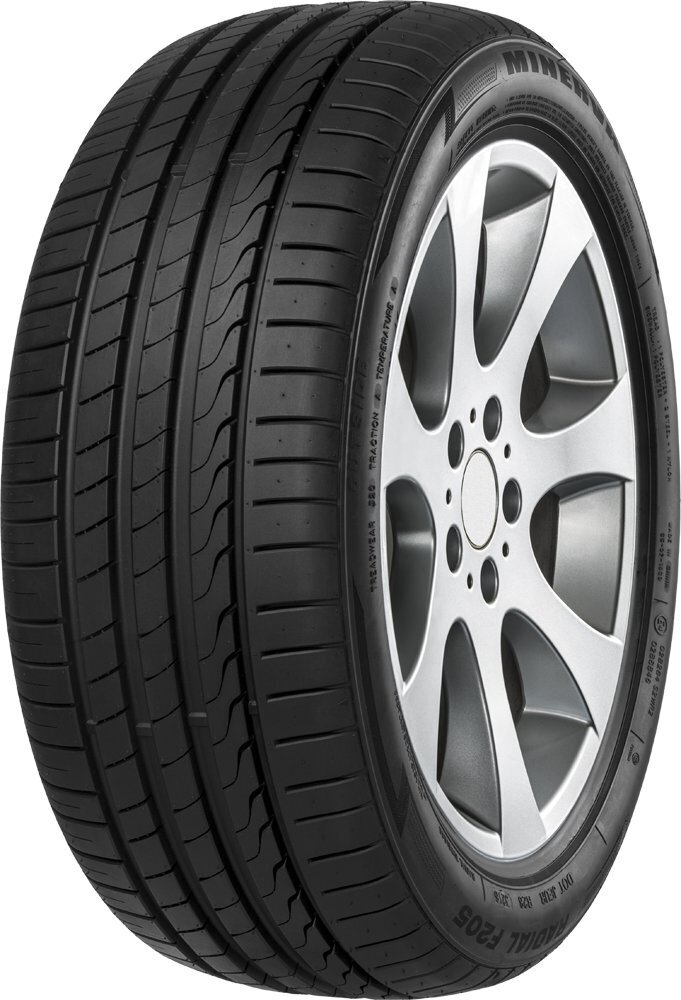 Minerva F205 225/55R17 101 W XL hinta ja tiedot | Kesärenkaat | hobbyhall.fi