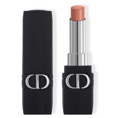 Pitkäkestoinen huulipuna Dior Rouge Dior Forever, 100 Forever Nude Look, 3,2 g 100 Forever Nude Look hinta ja tiedot | Huulipunat, huulikiillot ja huulirasvat | hobbyhall.fi