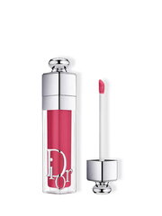 Huulikiilto Christian Dior Addict Lip Maximizer, 029 Intense Grape, 6 ml hinta ja tiedot | Huulipunat, huulikiillot ja huulirasvat | hobbyhall.fi