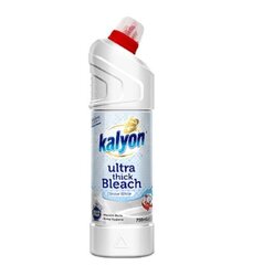 KALYON WC-puhdistusaine SNOW WHITE, 750ml hinta ja tiedot | Puhdistusaineet | hobbyhall.fi