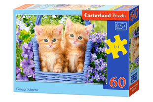 Castorland Ginger Kittens palapeli, 60 palaa hinta ja tiedot | Palapelit | hobbyhall.fi