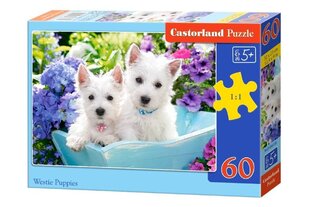 Castorland Westie Puppies palapeli, 60 palaa hinta ja tiedot | Palapelit | hobbyhall.fi