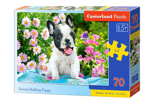 Castorland Ranskanbulldogin pentu palapeli, 70 palaa hinta ja tiedot | Palapelit | hobbyhall.fi