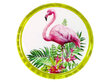 Flamingo jojo, vihreä hinta ja tiedot | Kehittävät lelut | hobbyhall.fi