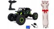 Kaukosäädinauto Rock Crawler 4x4 + pehmotyyny Cat, 50 cm hinta ja tiedot | Poikien lelut | hobbyhall.fi