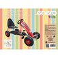 Enero 14 karting-auto, punainen hinta ja tiedot | Poikien lelut | hobbyhall.fi