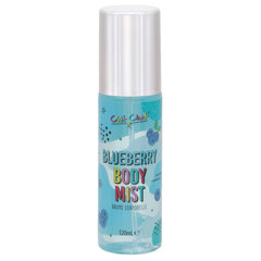 Vartalospray lapsille Chit Chat Blueberry, 120 ml hinta ja tiedot | Lasten ja äitiysajan kosmetiikka | hobbyhall.fi