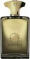 Hajuvesi Amouage Dia EDP miehille, 100 ml hinta ja tiedot | Miesten hajuvedet | hobbyhall.fi