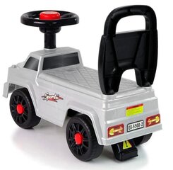 Työntöauto Lean Toys QX-5500-2, harmaa hinta ja tiedot | Vauvan lelut | hobbyhall.fi