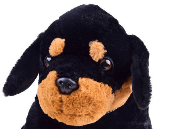 Pehmolelu Dog Sunkid, 45 cm, 1 kpl. hinta ja tiedot | Pehmolelut | hobbyhall.fi