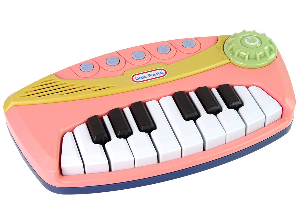 Interaktiivinen piano Lean Toys, vaaleanpunainen hinta ja tiedot | Vauvan lelut | hobbyhall.fi