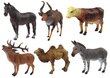 Figuurisetti Animals Lean Toys, 6 kpl. hinta ja tiedot | Poikien lelut | hobbyhall.fi