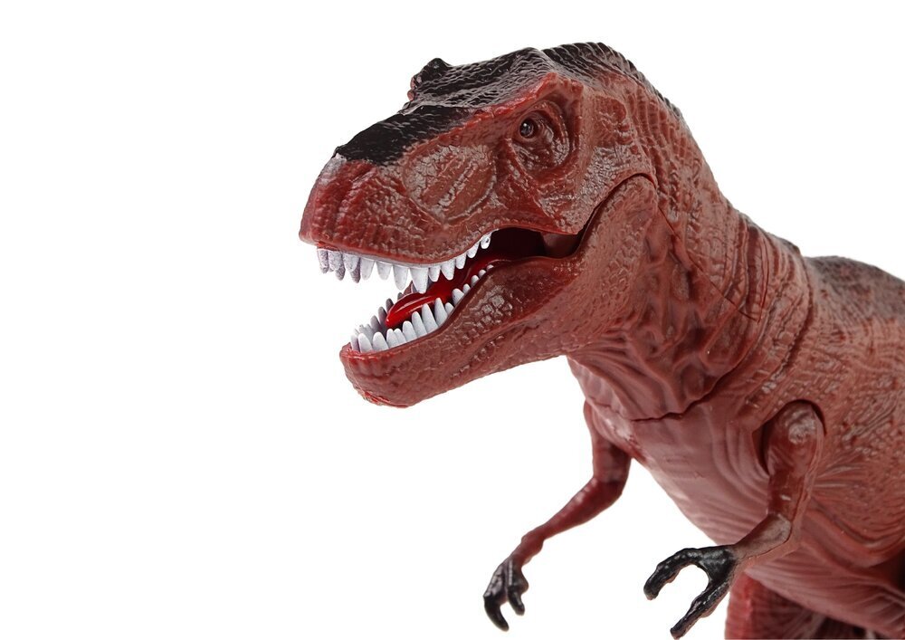 Rc-dinosaur Tyrannosaurus Rex tehosteilla Lean Toys hinta ja tiedot | Poikien lelut | hobbyhall.fi