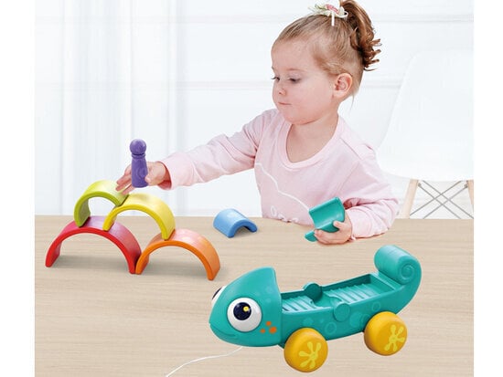 Montessori-palapeli Chameleon Hola hinta ja tiedot | Vauvan lelut | hobbyhall.fi