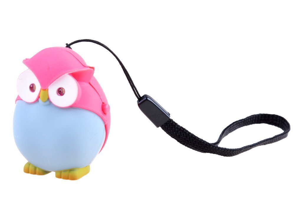 Avaimenperä Interactive Owl, sininen/vaaleanpunainen hinta ja tiedot | Hauskat avaimenperät | hobbyhall.fi