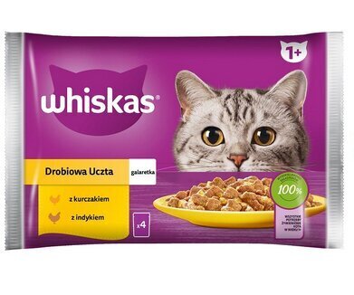 Whiskas aikuisille kissoille, kanaa ja kalkkunaa, 52x85 g hinta ja tiedot | Kissanruoka | hobbyhall.fi