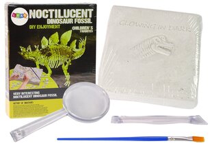 Arkeologisten kaivausten kokoelma, Stegosaurus hinta ja tiedot | Kehittävät lelut | hobbyhall.fi