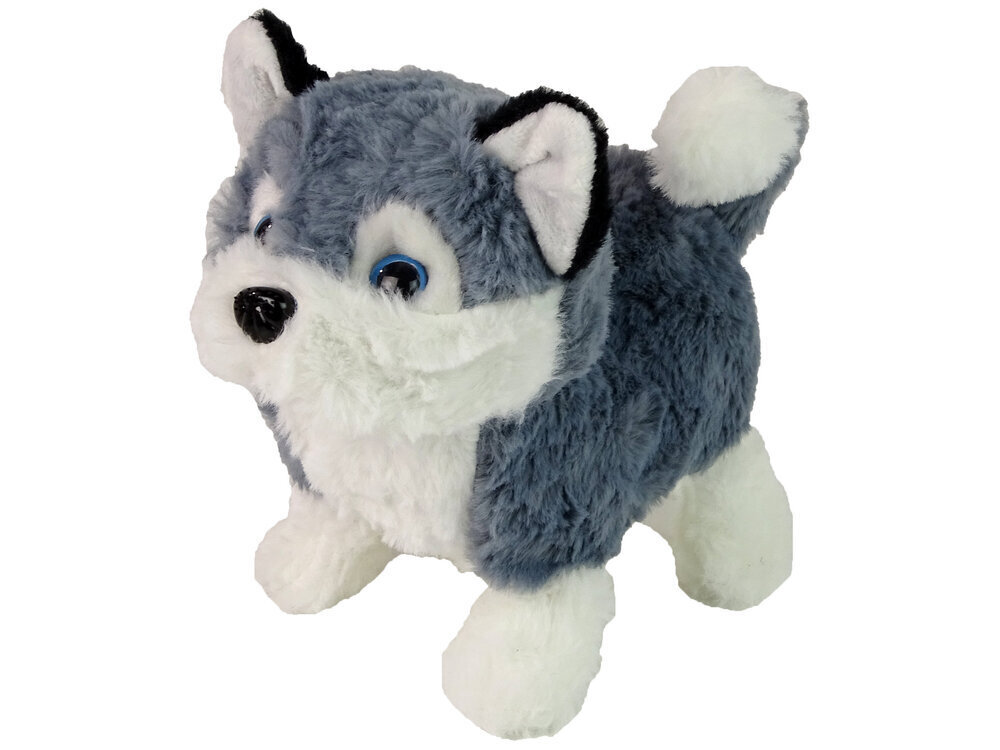 Vuorovaikutteinen Husky-koira hinta ja tiedot | Pehmolelut | hobbyhall.fi