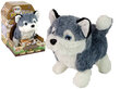 Vuorovaikutteinen Husky-koira hinta ja tiedot | Pehmolelut | hobbyhall.fi