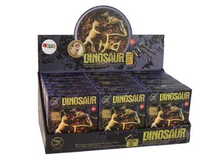 Dinosauruksen luuranko kaivaussarja hinta ja tiedot | Kehittävät lelut | hobbyhall.fi