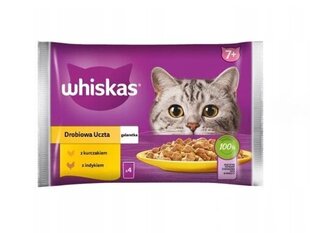 Whiskas Senior, kanaa ja kalkkunaa, 52x85 g hinta ja tiedot | Kissanruoka | hobbyhall.fi