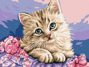 Maalaus numeroiden mukaan, Sinisilmäinen kissanpentu, 40x50 cm hinta ja tiedot | Twoje Hobby Lapset | hobbyhall.fi