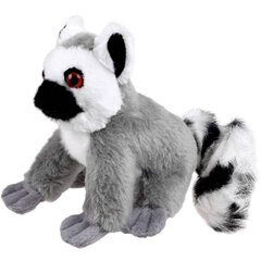 Pehmolelu - Lemur, 13cm hinta ja tiedot | Pehmolelut | hobbyhall.fi