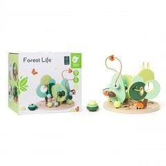 Forest Life -opettavainen labyrintti hinta ja tiedot | Vauvan lelut | hobbyhall.fi