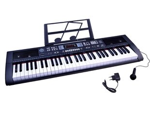 Lasten piano, jossa 61 näppäintä ja mikrofoni 2 hinta ja tiedot | Kehittävät lelut | hobbyhall.fi