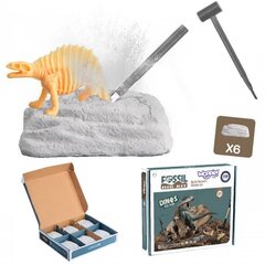 Woopie Fossiilikaivamissetti 6in1, dinosaurukset hinta ja tiedot | Kehittävät lelut | hobbyhall.fi