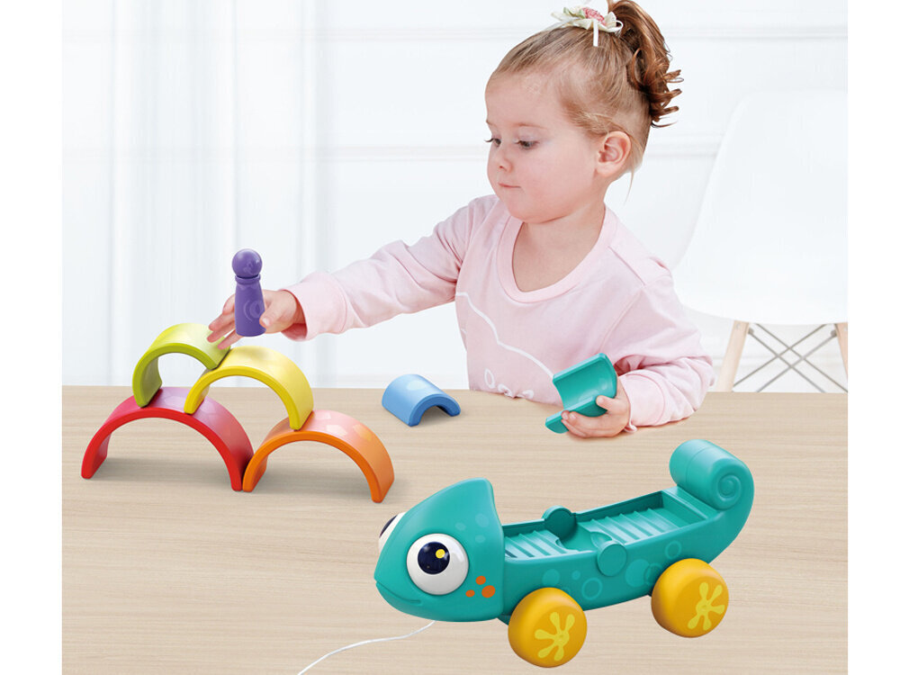 Montessori-palapeli, sateenkaarikameleontti hinta ja tiedot | Kehittävät lelut | hobbyhall.fi