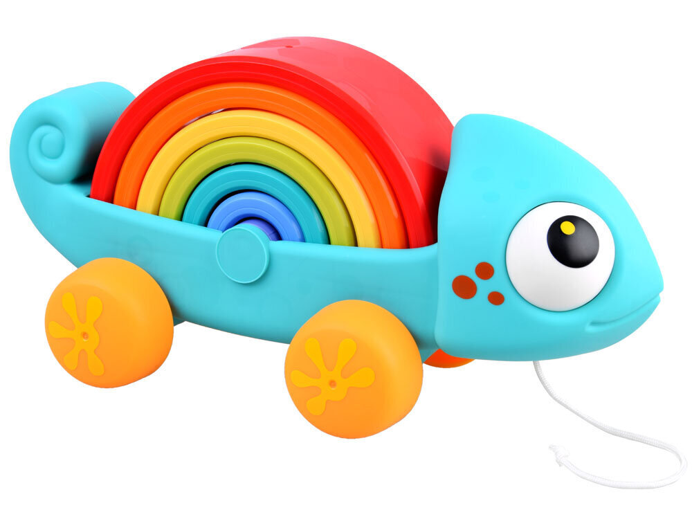 Montessori-palapeli, sateenkaarikameleontti hinta ja tiedot | Kehittävät lelut | hobbyhall.fi